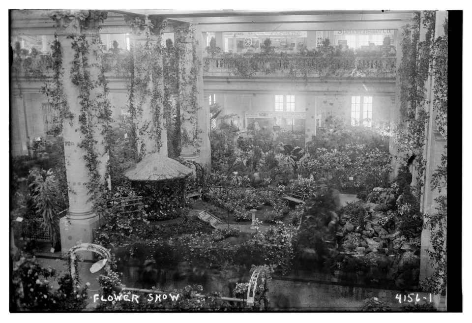 Flower Show LCCN2014704157