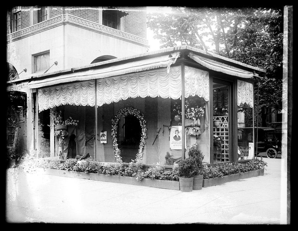 Flower shop, horse show window, 5-20-20 LCCN2016851953