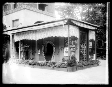 Flower shop, horse show window, 5-20-20 LCCN2016851953