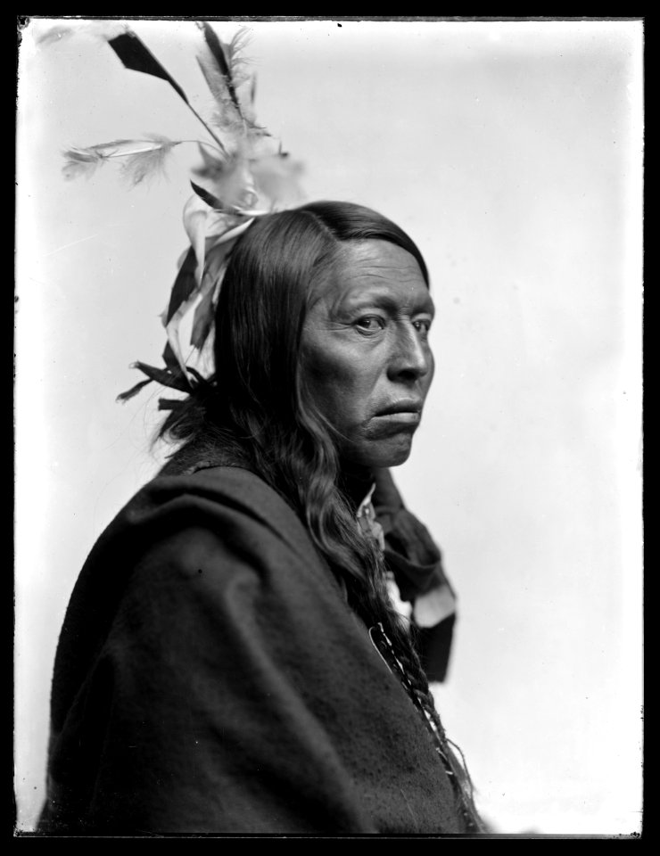 Flying Hawk, American Indian LCCN2006679576