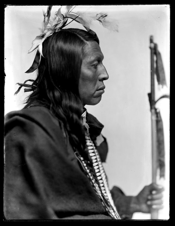 Flying Hawk, Sioux American Indian LCCN2006679586