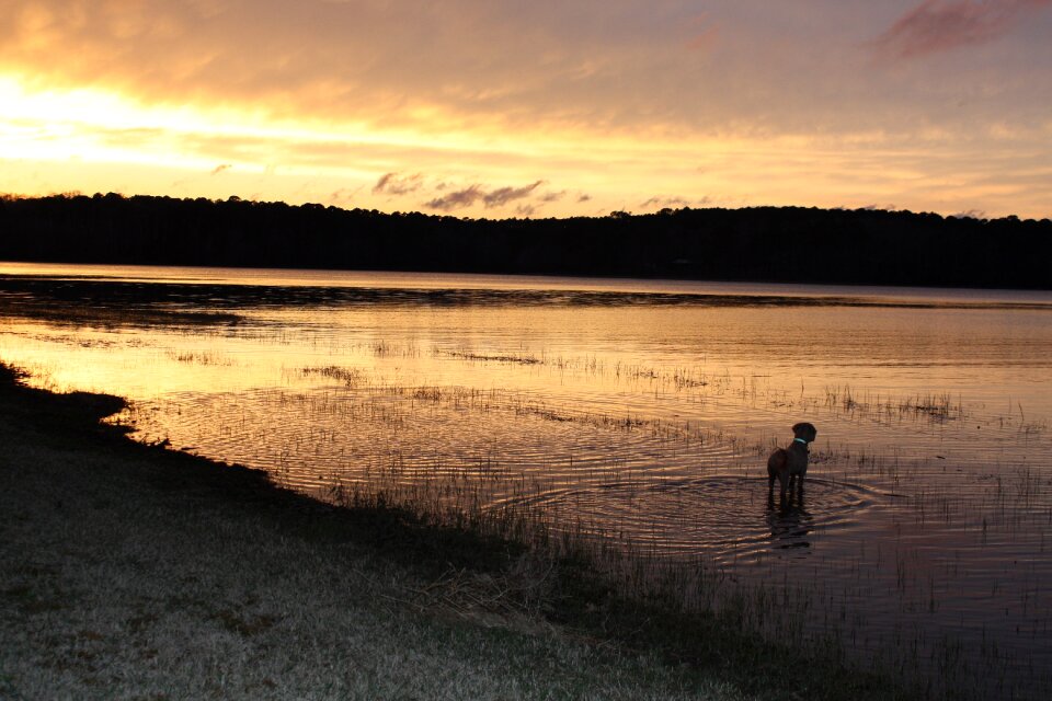 Landscape dawn sunset