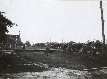 Flüchtlinge, Kowel. (BildID 15691839)
