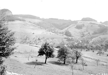 Fluhberg - Waldkuppe 867 - CH-BAR - 3237598