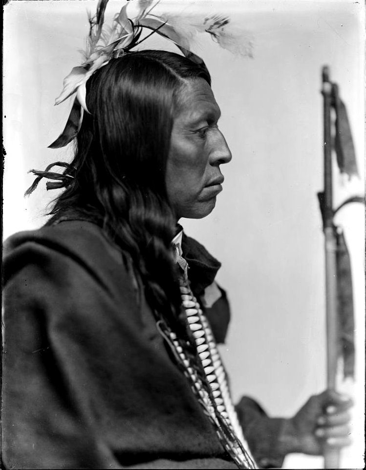 Flying Hawk portrait