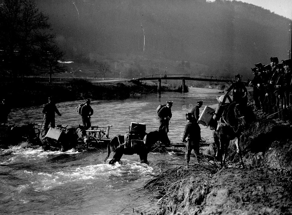 Flussüberquerung der Birs mit Pferden - CH-BAR - 3236719