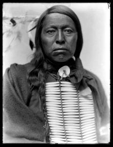 Flying Hawk, American Indian LCCN2006679594