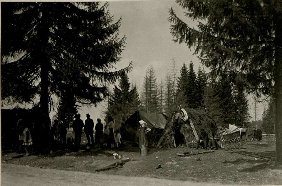 Flüchtlinge aus der Bukowina (BildID 15716963)