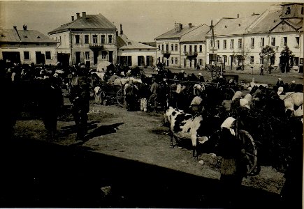 Flüchtlinge in Podhajce. (BildID 15521686)