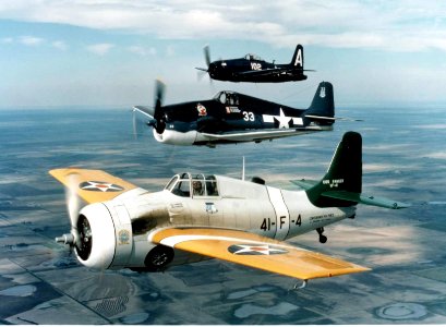FM Wildcat F6F Hellcat and F8F Bearcat warbirds in flight