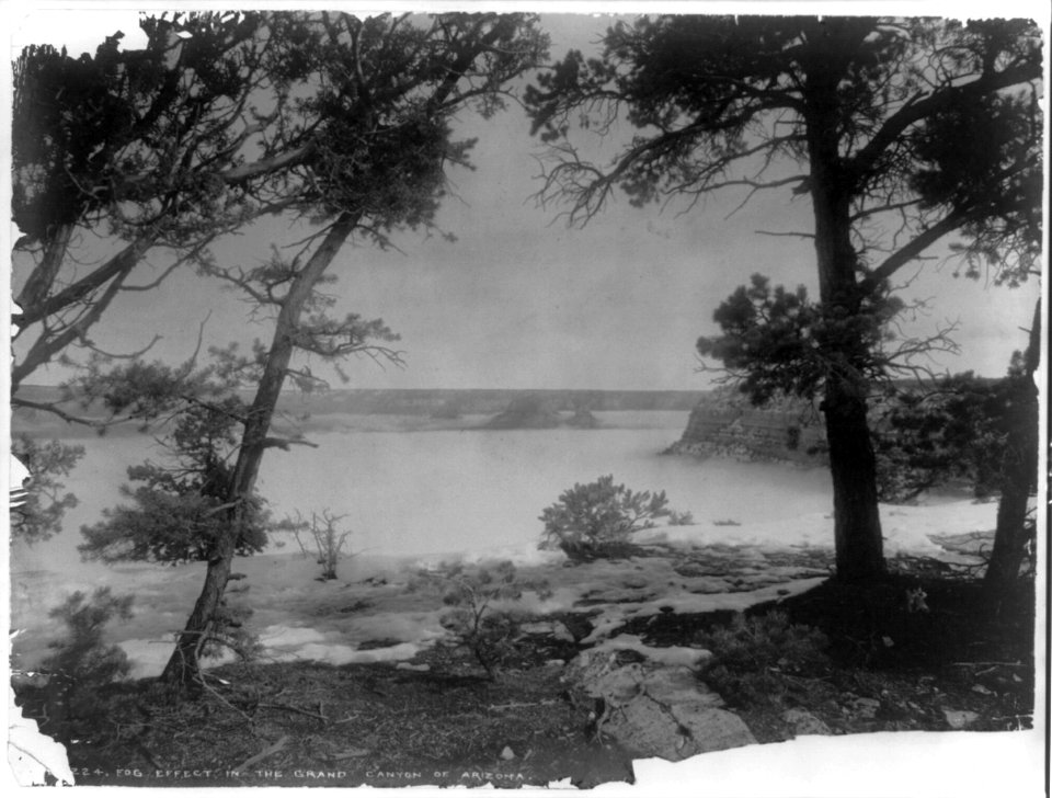 Fog effect in the Grand Canyon of Arizona LCCN2002706305