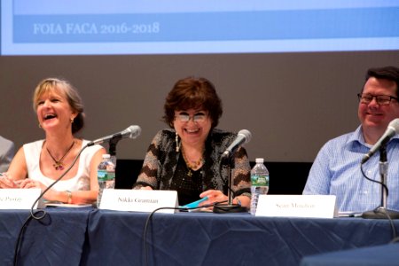 FOIA Advisory Committee Meeting (28671576876)