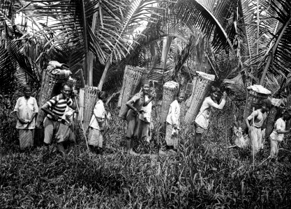 Folk från Lingketting på väg till kusten för att sälja damarharts. Poso, Banggaai, Sulawesi - SMVK - 000337