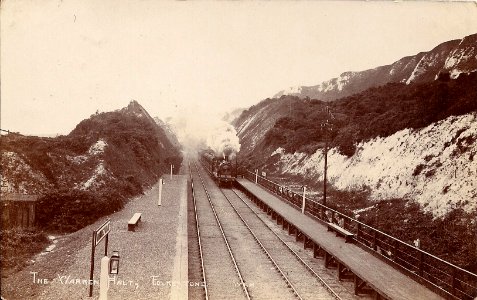 Folkestone Warren Halt railway station