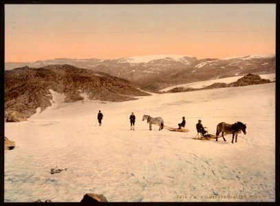 Folgefond Glacier, Hardanger Fjord, Norway (LOC)
