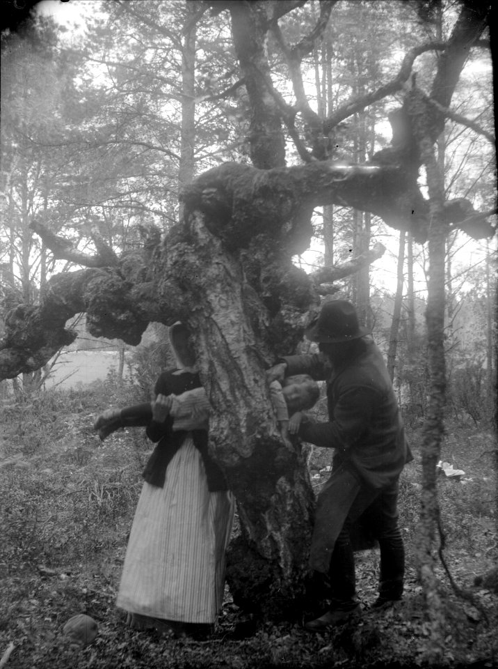 Folklig läkekonst. Smöjning. Uppland - Nordiska Museet - NMA.0034675