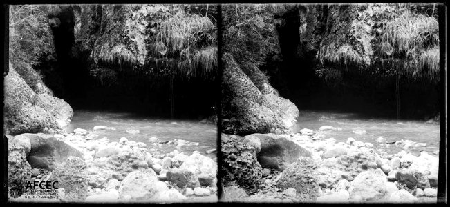 Font en una bauma del pont Cabredís