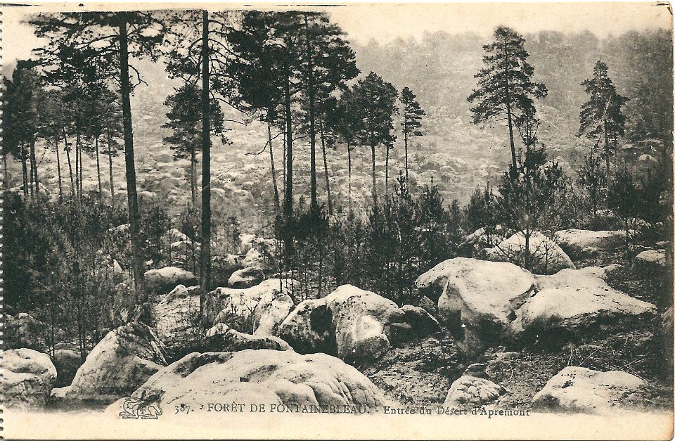 Fontainebleau-FR-75-CPA 1912-La Salamandre-a17