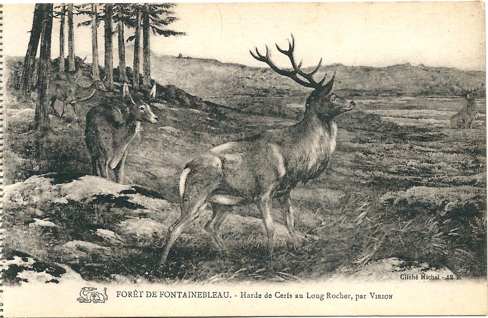 Fontainebleau-FR-75-CPA 1912-La Salamandre-a18