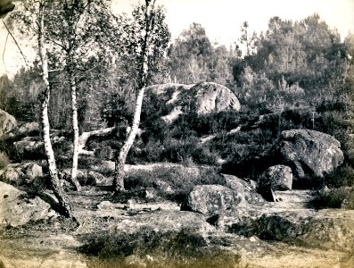 Fontainebleau Famin