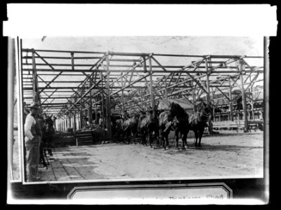 Food Adm. sugar, receiving beets in factory shed, Oxnard, (California), factory LCCN2016824482