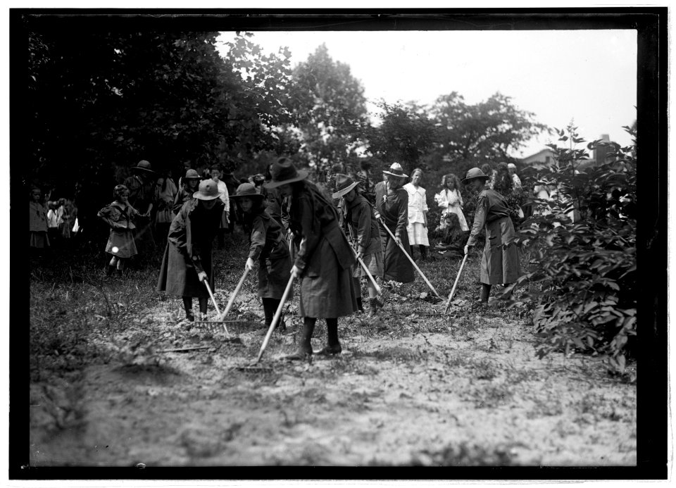 Food Admin., Girl Scout garden, 13th & Iowa Ave., Wash., D.C. LCCN2016827032