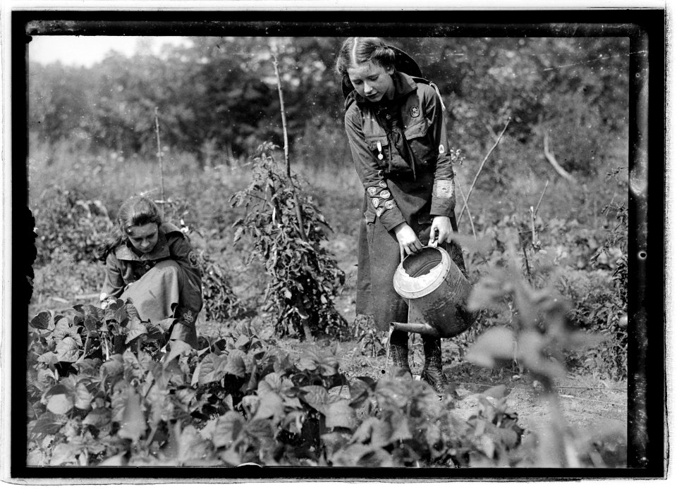 Food Admin., Girl Scout garden, 13th & Iowa Ave., Wash., D.C. LCCN2016827034