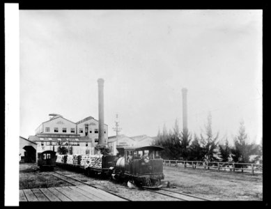 Food Ad.- Trainload of sugar leaving mill. Hawaiian Islands LCCN2016824532