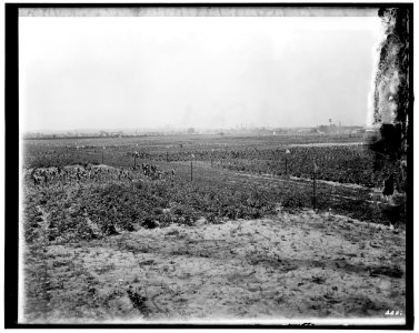 Food Garden Commission LOC hec.13835