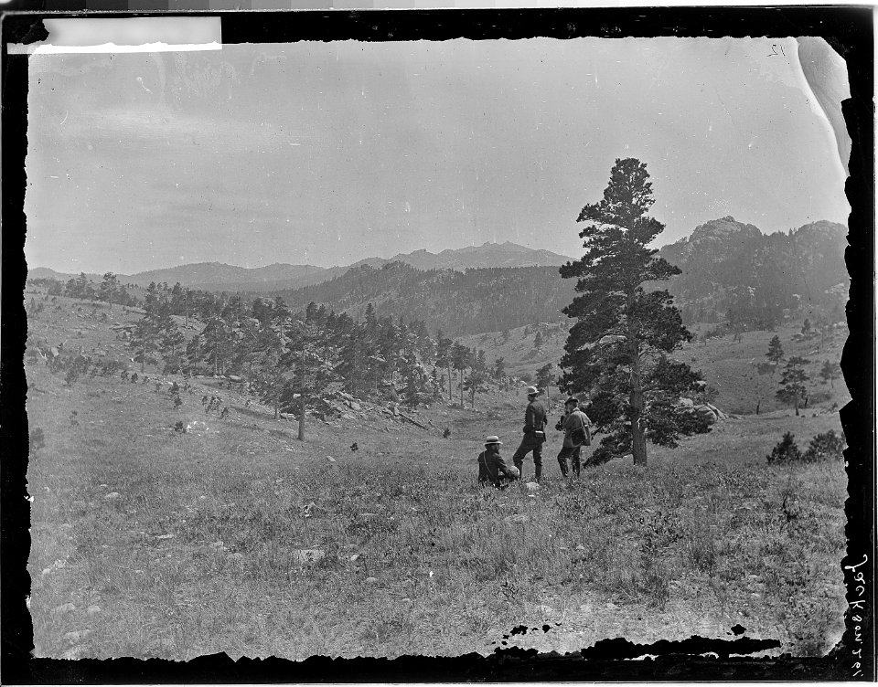 Foot hills of Laramie Peak, Albany County, Wyoming - NARA - 516870