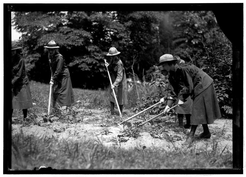 Food Administration, Girl Scout garden, 13th & Iowa Ave., Wash., D.C. LCCN2016827031
