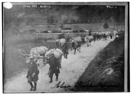 Food for Alsace LCCN2014706242