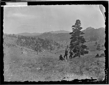Foot hills of Laramie Peak, Albany County, Wyoming - NARA - 516870