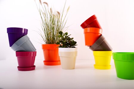 Color colorful pot photo