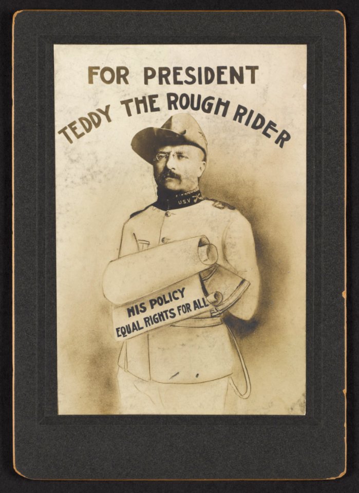 For President Teddy the rough rider, his policy equal rights for all LCCN2013651206