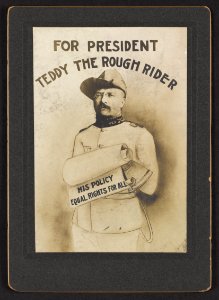 For President Teddy the rough rider, his policy equal rights for all LCCN2013651206