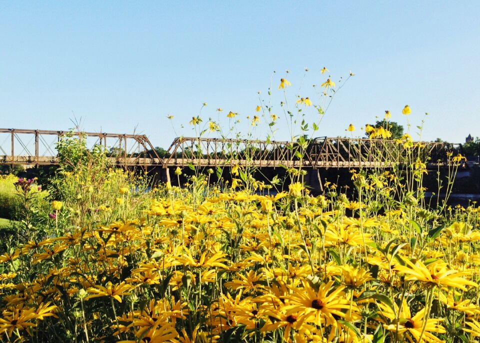 Summer bridge river