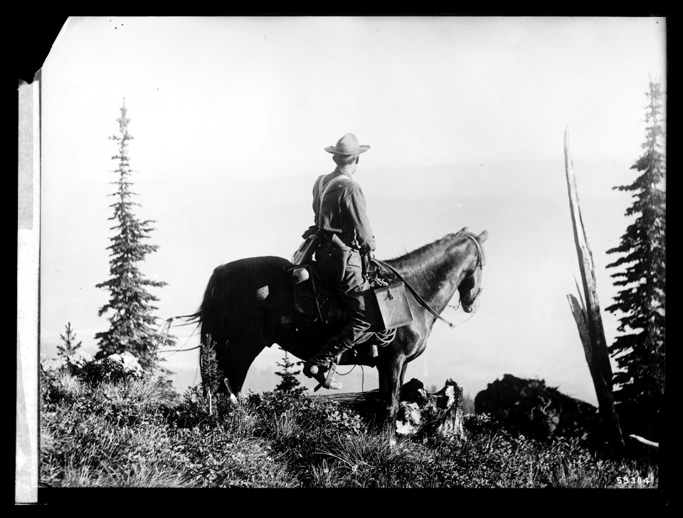 Forest Service LCCN2016852293