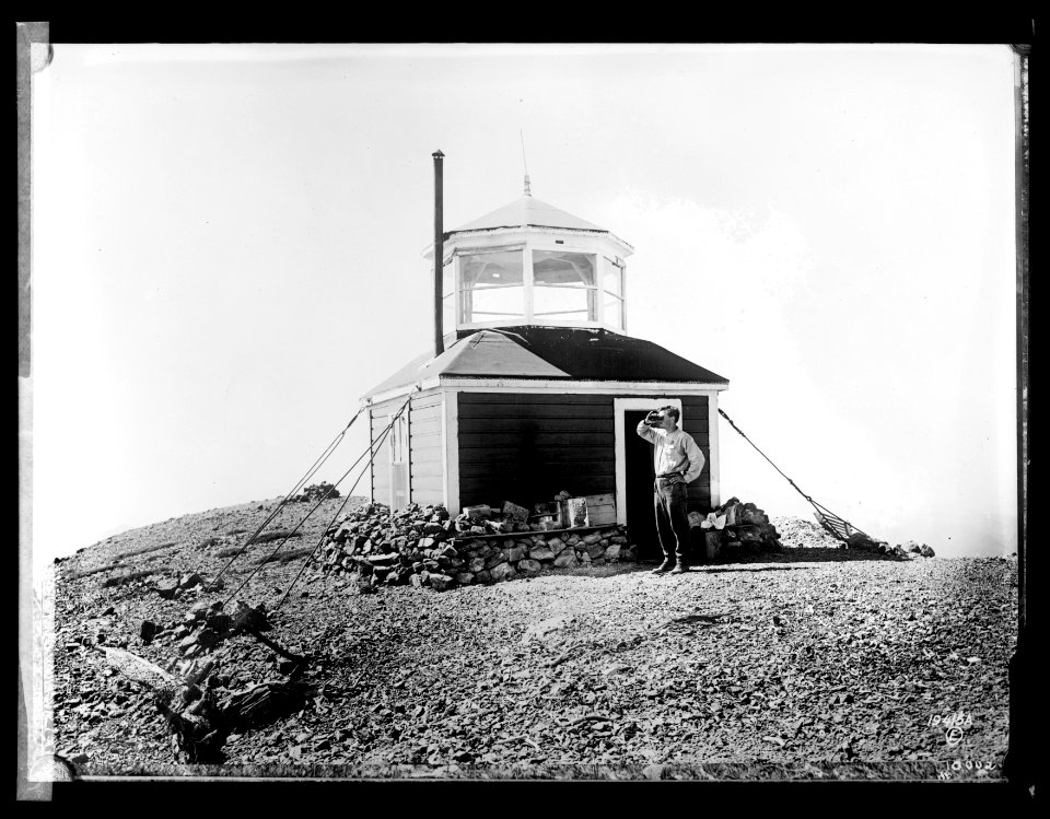 Forest Service- the lookout LCCN2016852288