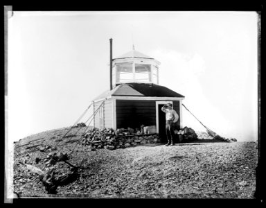 Forest Service- the lookout LCCN2016852288