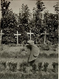 Grab des Piloten BONOZ Johann. Aufgenommen am 5. August 1916. (BildID 15479011)