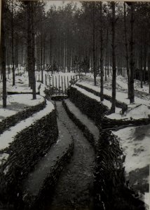 Graben im Walde im Abschnitt des Infanterieregimentes 4 (BildID 15446292)