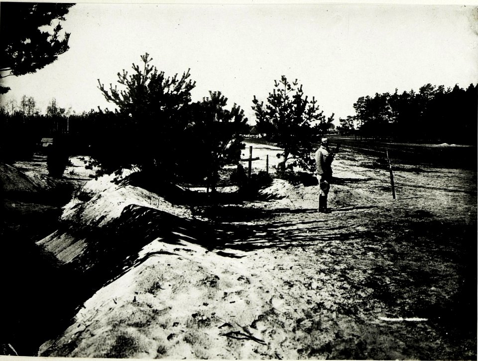 Grab im Wäldchen am Nordausgang der Kolonie Alexandrò. 6 Mann des k.u.k. ungarischen Infanterieregiments 86, links Schützengraben der eigenen Armee. (BildID 15589445)