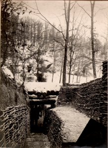 Graben im Hochwald. (BildID 15529766)