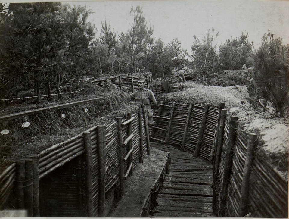 Graben im Wald des Infanterieregiments 84 (BildID 15444693)