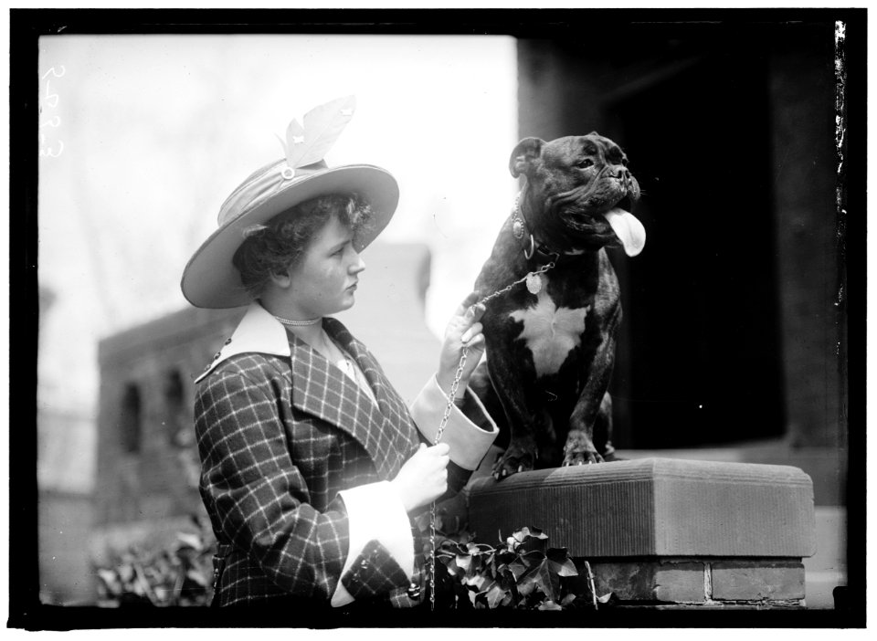 GRACIE, MISS EDITH. DOG SHOW LCCN2016866261