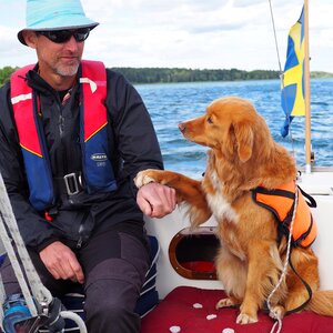 Sailing dog contact