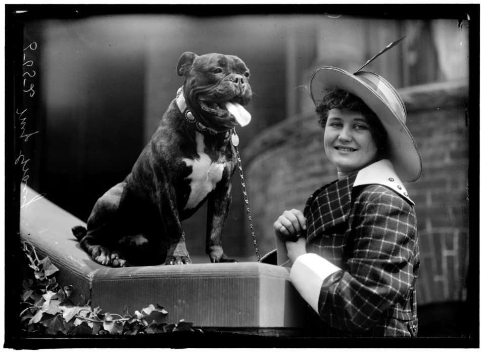 GRACIE, MISS EDITH. DOG SHOW LCCN2016866260