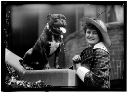 GRACIE, MISS EDITH. DOG SHOW LCCN2016866260