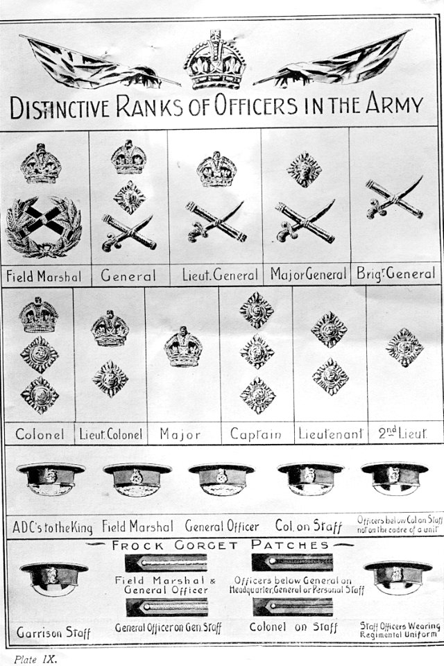 Gradabzeichen für Offiziere der britischen Armee - CH-BAR - 3239756